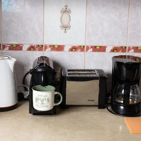 公寓 里加琥珀公寓酒店